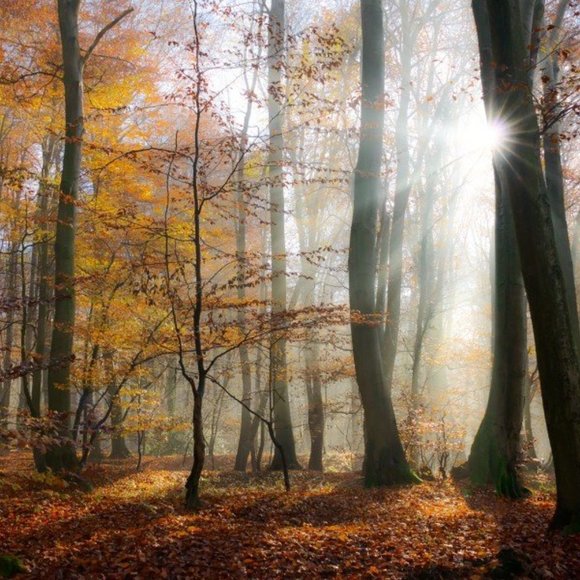 Meet your Posher, Juliana and her Fashion Guru Daughters!! - Picture 4 of 5